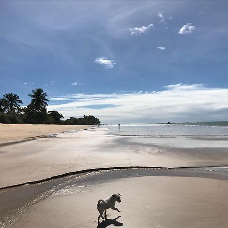 Cheiro Nativo - Chales & Pousada Trancoso Exteriör bild