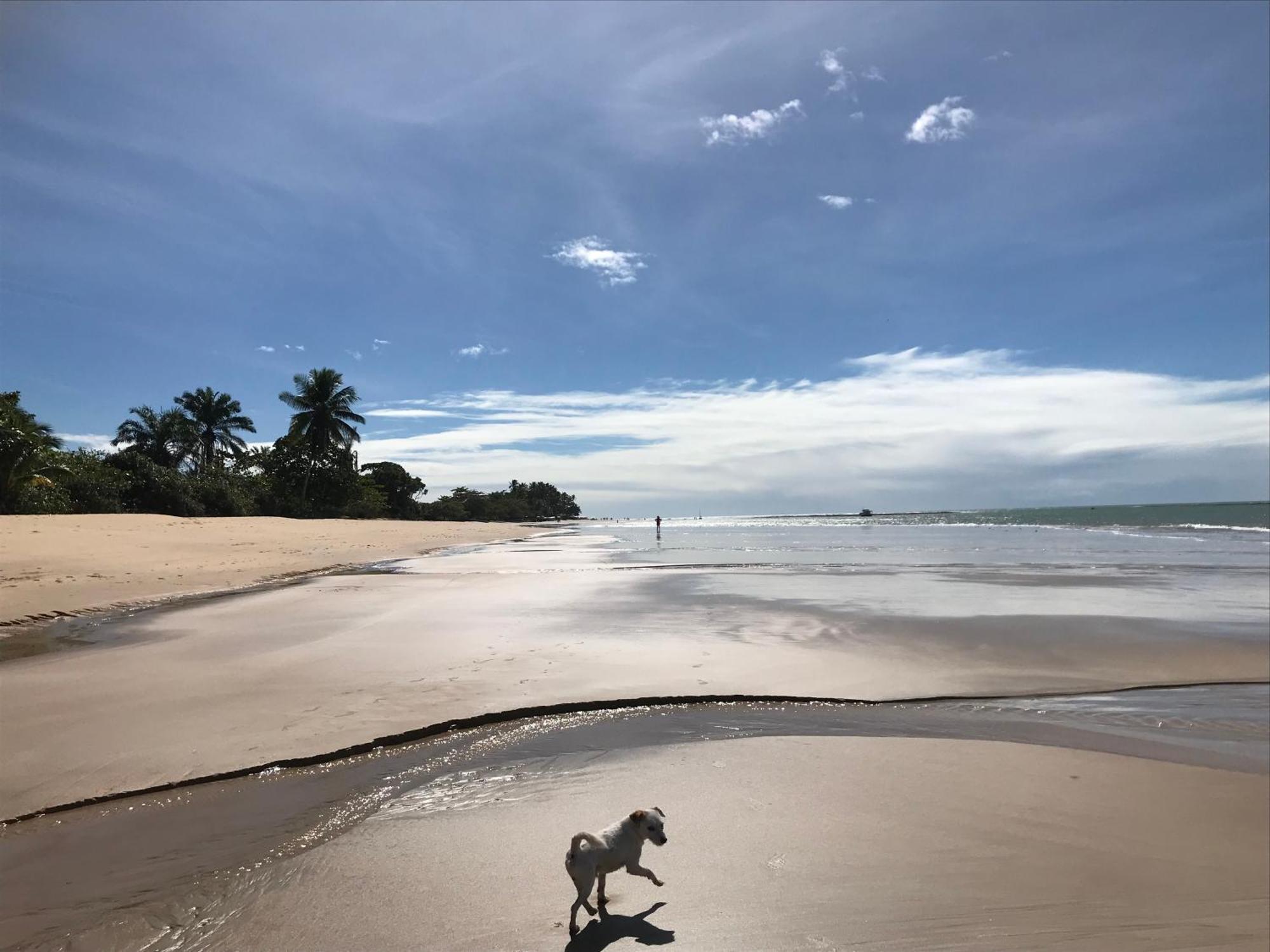 Cheiro Nativo - Chales & Pousada Trancoso Exteriör bild