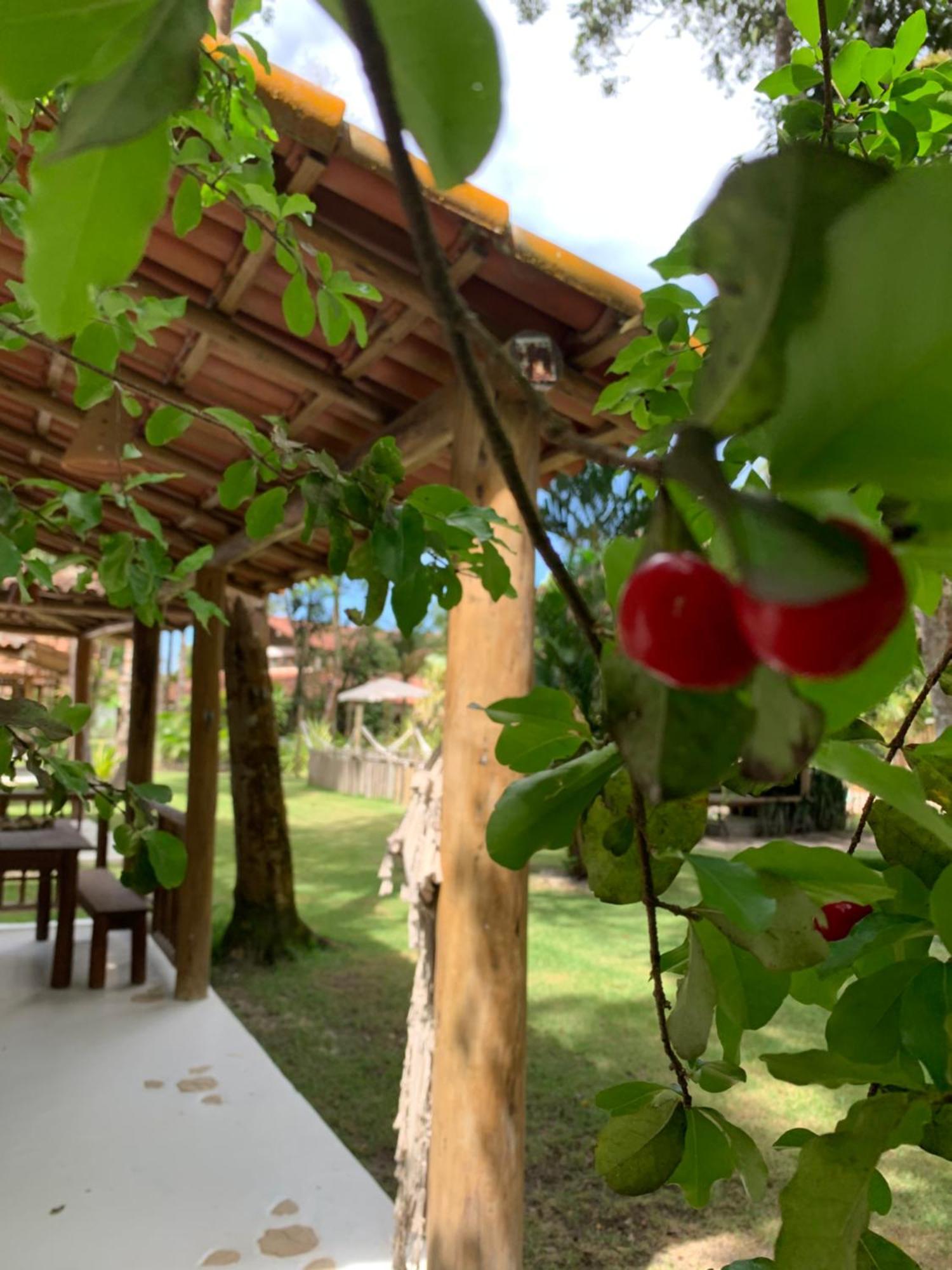 Cheiro Nativo - Chales & Pousada Trancoso Exteriör bild