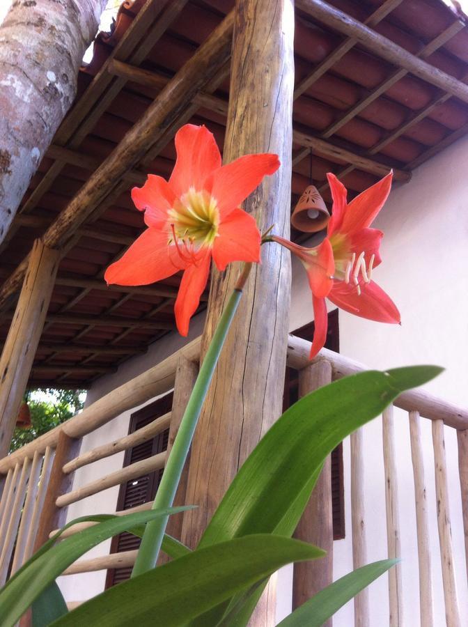 Cheiro Nativo - Chales & Pousada Trancoso Exteriör bild